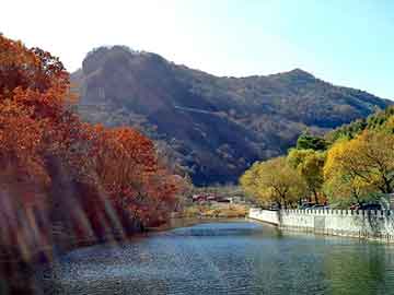 正新澳门二四六天天彩，车祸现场鬼魂